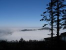 ＜豪華團＞樂山大佛、峨眉山VIP舌尖美食一日游