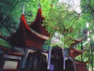 ＜休閑特價＞青城山、都江堰純玩一日游（推薦自費）