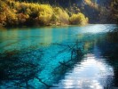 ＜四川全景游＞九寨溝、黃龍、樂山、峨眉山、都江堰、青城山雙汽八日游