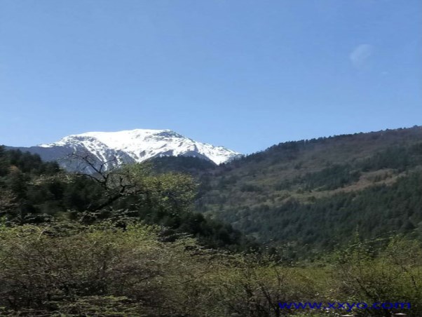 4月九寨溝雪寶頂