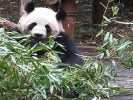 這就是成都：古蜀奇幻游6日夏令營